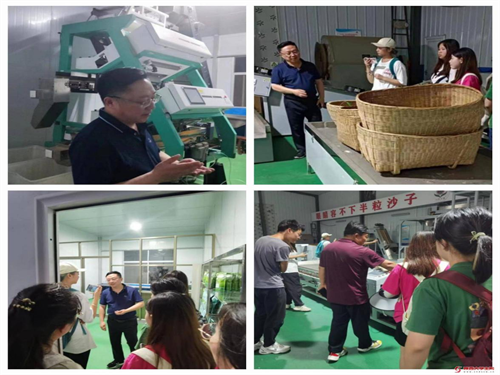 d30c5657ea144421b082d644f33b1963.png 参观茶叶加工厂集锦.png